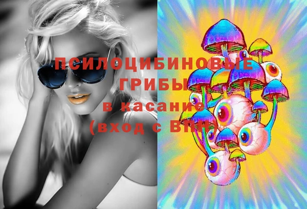 дмт Алексеевка