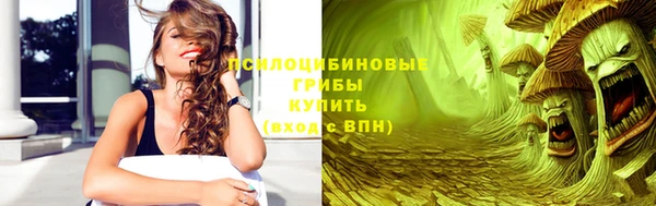 бошки Алзамай