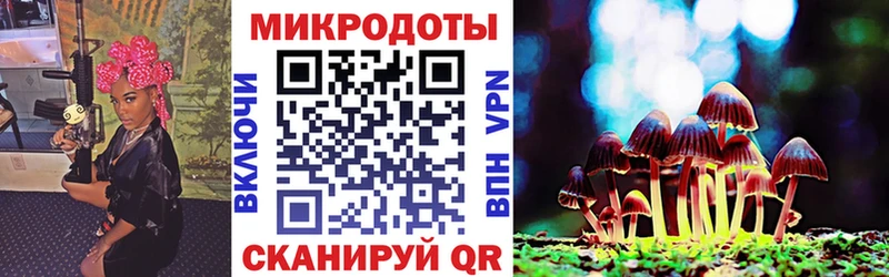 Галлюциногенные грибы Cubensis  где найти наркотики  Заволжск 