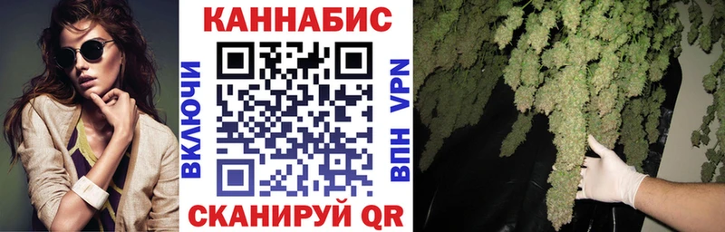 darknet состав  Заволжск  Марихуана сатива 